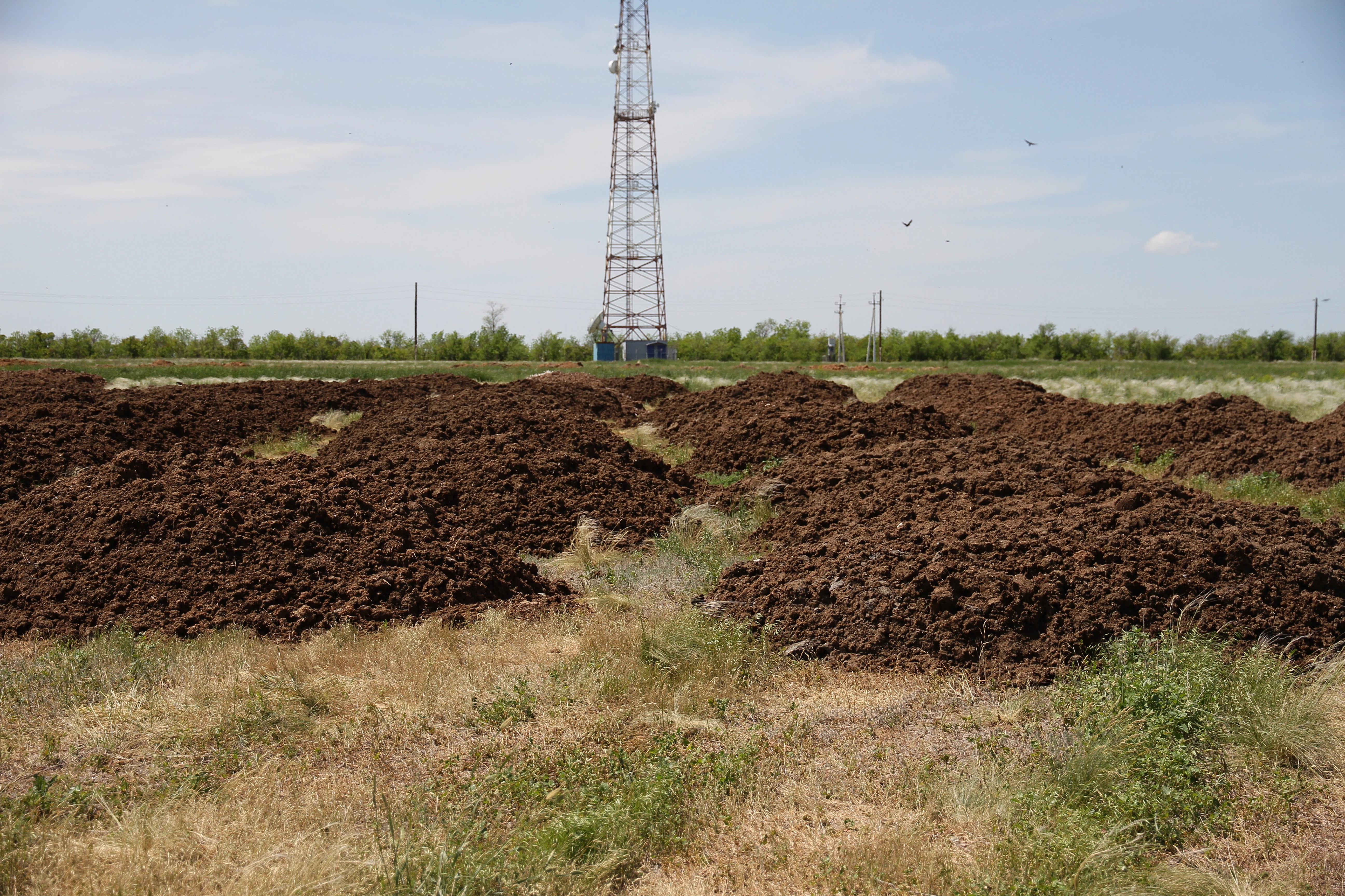 В ЗКО планируют создавать удобрения из куриного помёта